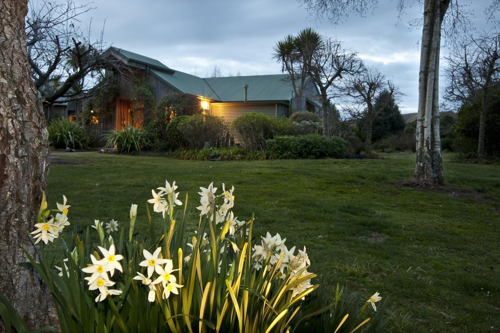 אגם טאופו Whakaipo Lodge מראה חיצוני תמונה